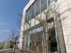 1階テラスの風景