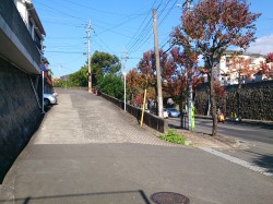道路