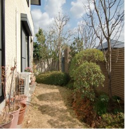 かき道4丁目前田邸庭