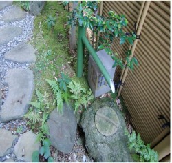 かき道4丁目前田邸庭①