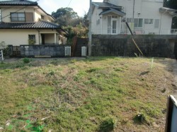 なぜ安い? なぜ安い?