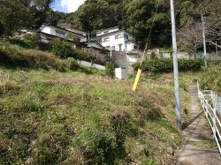アピール上手な土地 アピール上手な土地