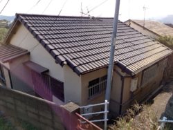 銭座小学校近くの猫がお迎えする家 銭座小学校近くの猫がお迎えする家