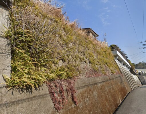 住吉商店街徒歩圏内、建築条件なし