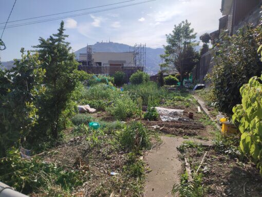 ココウォークを眼下に