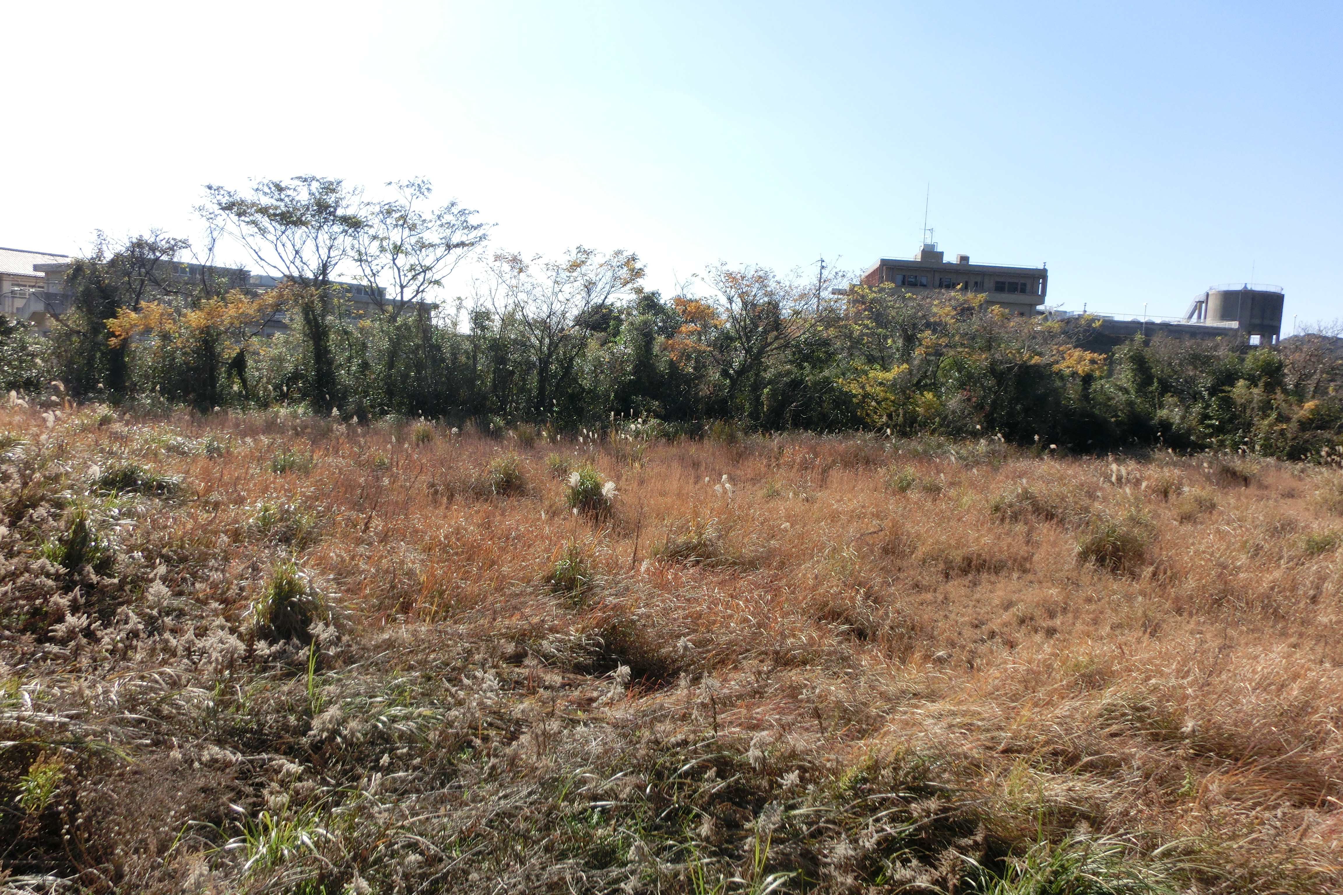 売地　長崎市さくらの里(外観)