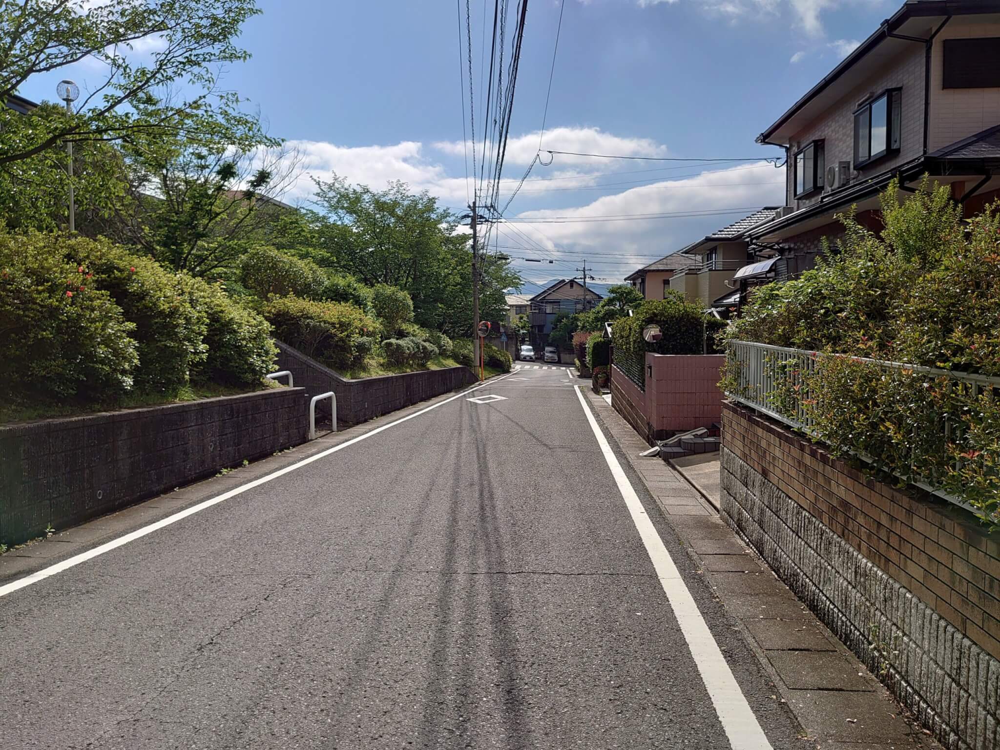 前面道路(周辺)