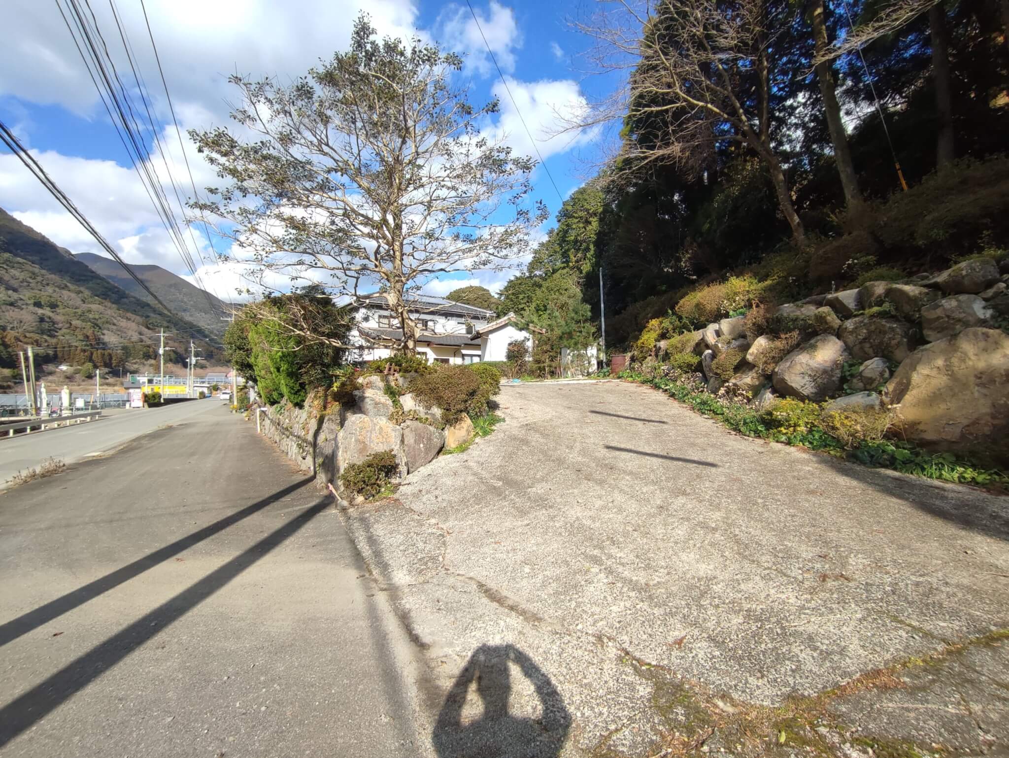 接道道路(周辺)